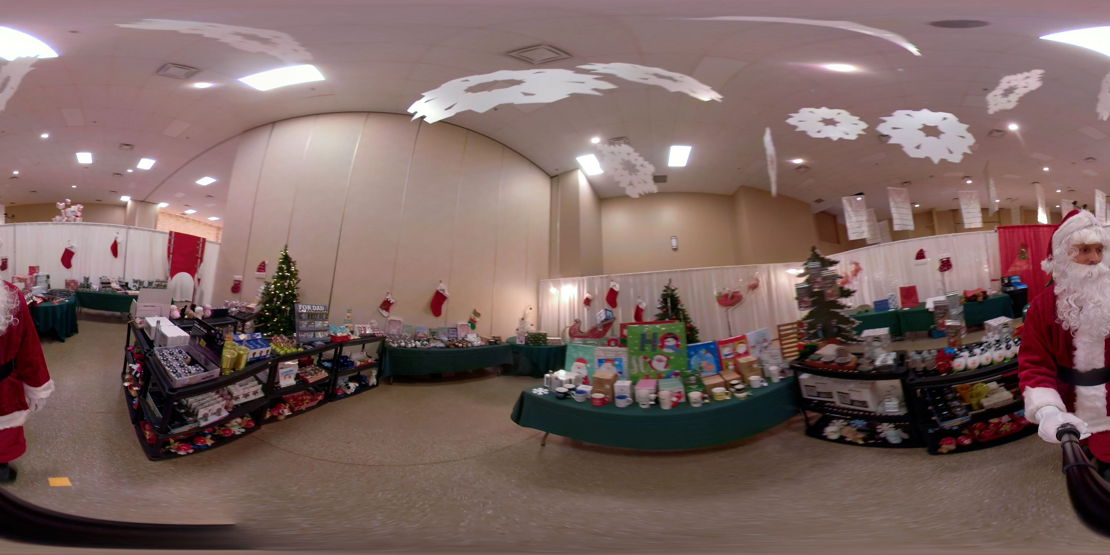 Festival of Trees 2020